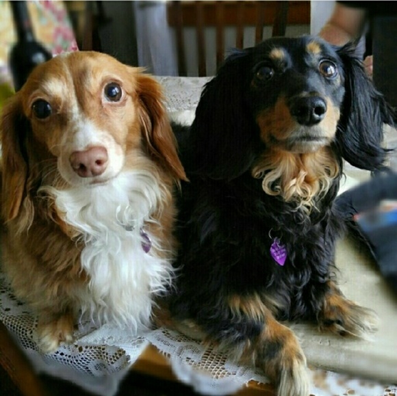 This listing's comments are full! See new one :) - Picture 3 of 4